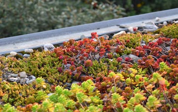 the cost of Savile Park green roof installation