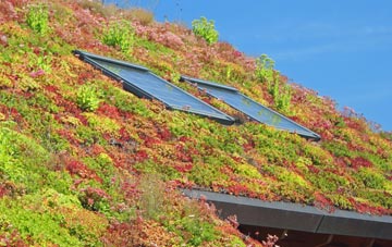 Savile Park living roof systems